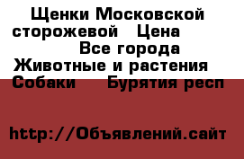 Щенки Московской сторожевой › Цена ­ 35 000 - Все города Животные и растения » Собаки   . Бурятия респ.